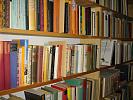 education-335639_1920.jpg